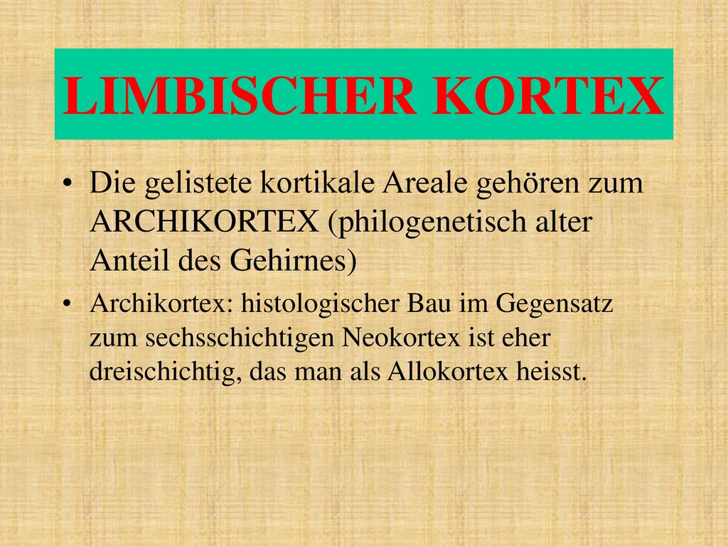 LIMBISCHER KORTEX Die gelistete kortikale Areale gehören zum ARCHIKORTEX (philogenetisch alter Anteil des Gehirnes)