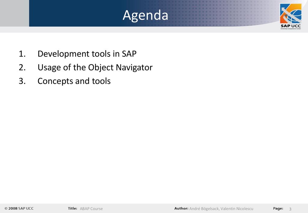 Agenda Development tools in SAP Usage of the Object Navigator
