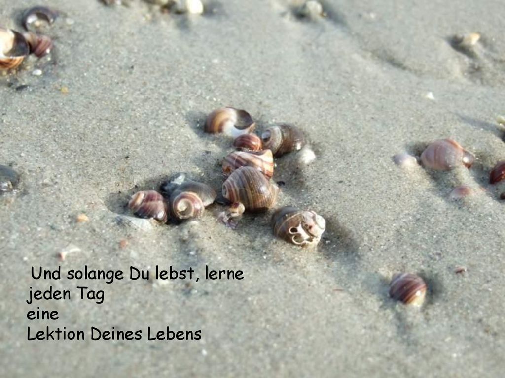 Und solange Du lebst, lerne jeden Tag eine Lektion Deines Lebens