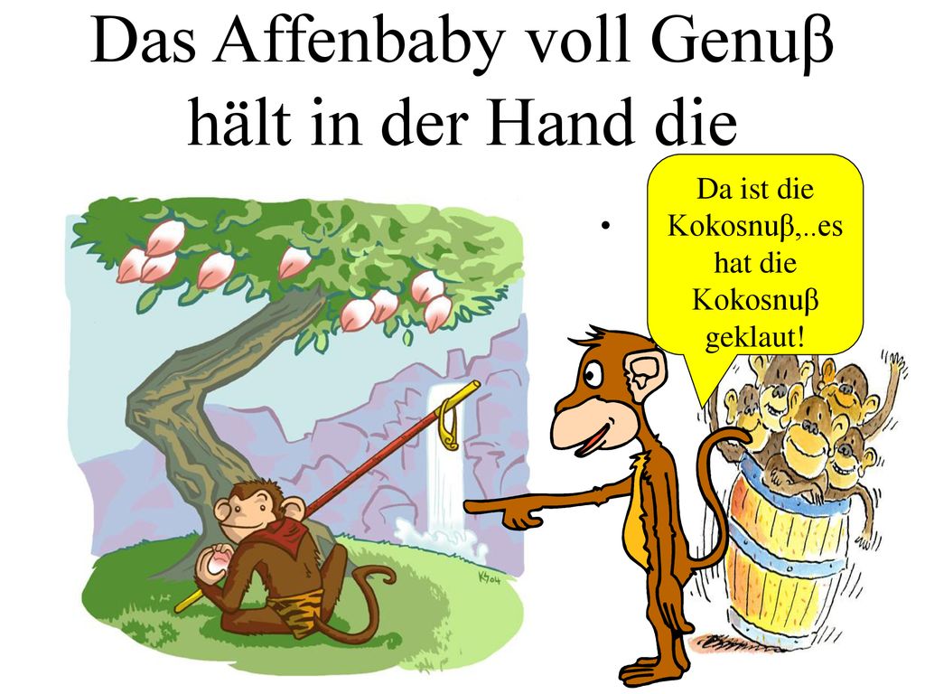 Das Affenbaby voll Genuβ hält in der Hand die Kokosnuβ.