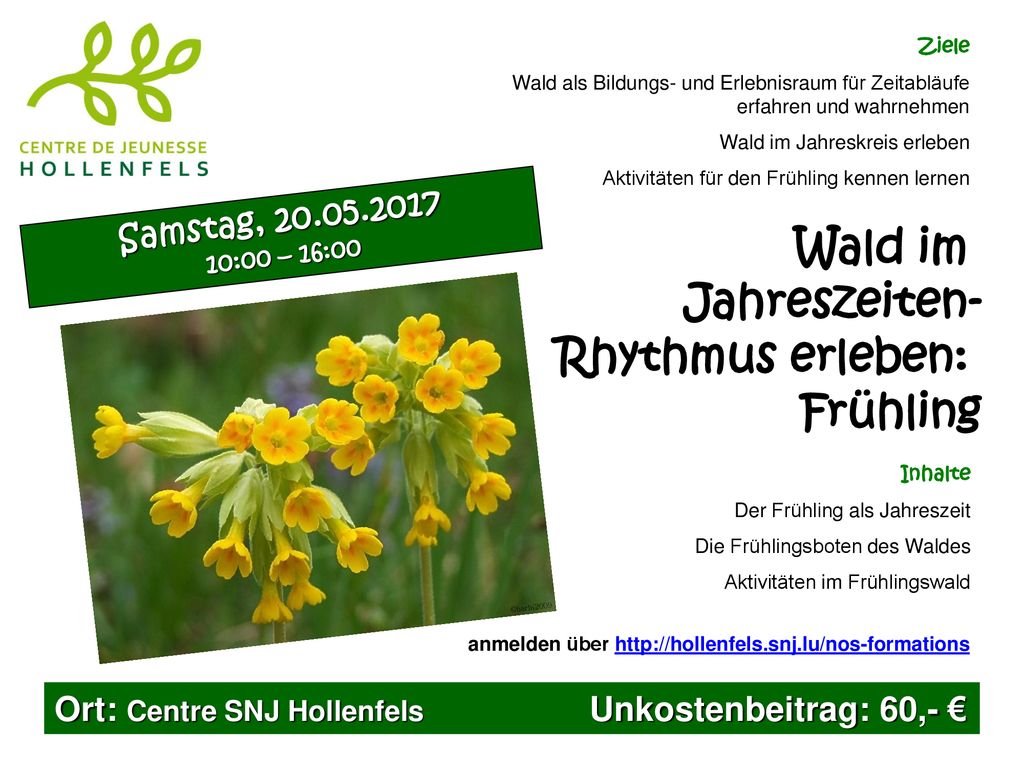 Wald im Jahreszeiten- Rhythmus erleben: Frühling Samstag,