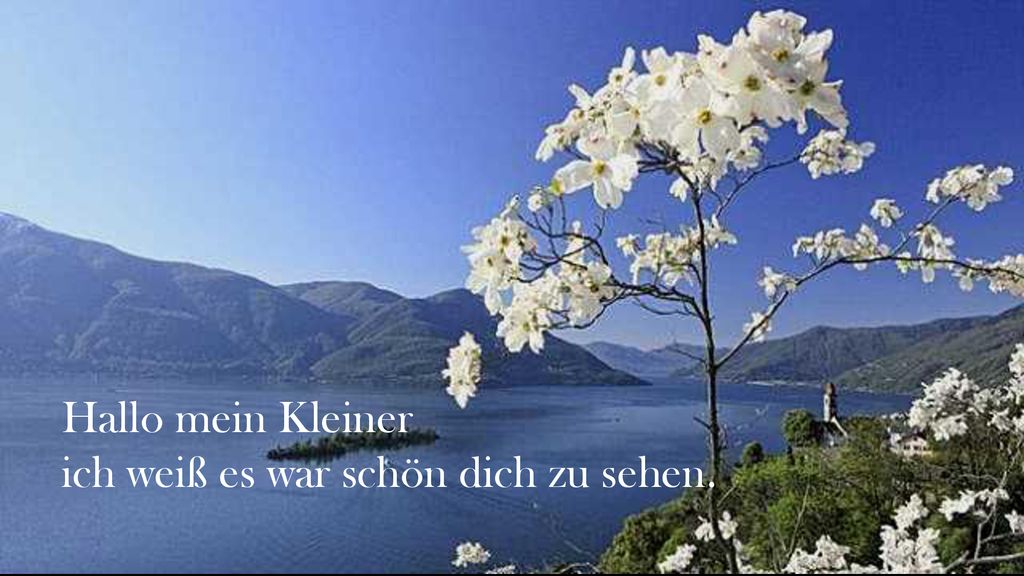 Hallo mein Kleiner ich weiß es war schön dich zu sehen.