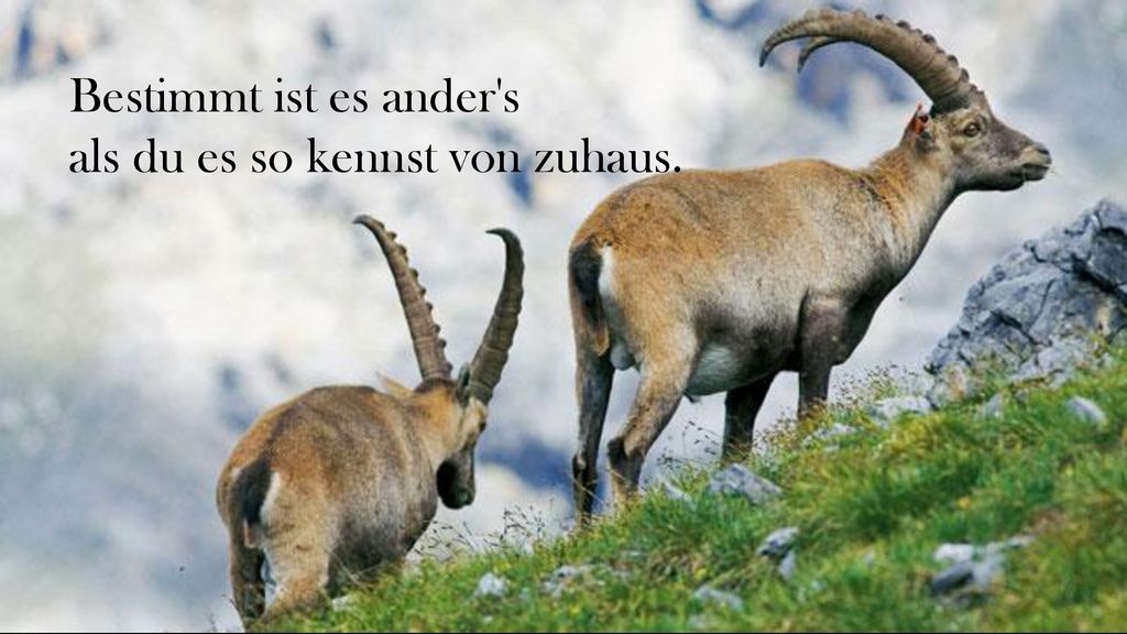 Bestimmt ist es ander s als du es so kennst von zuhaus.