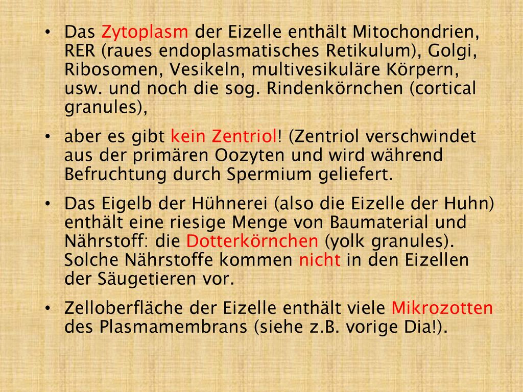 Das Zytoplasm der Eizelle enthält Mitochondrien, RER (raues endoplasmatisches Retikulum), Golgi, Ribosomen, Vesikeln, multivesikuläre Körpern, usw. und noch die sog. Rindenkörnchen (cortical granules),