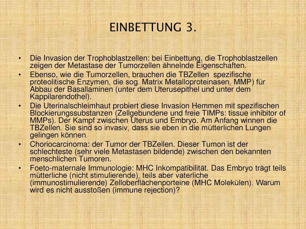 EINBETTUNG 3. Die Invasion der Trophoblastzellen: bei Einbettung, die Trophoblastzellen zeigen der Metastase der Tumorzellen ähnelnde Eigenschaften.