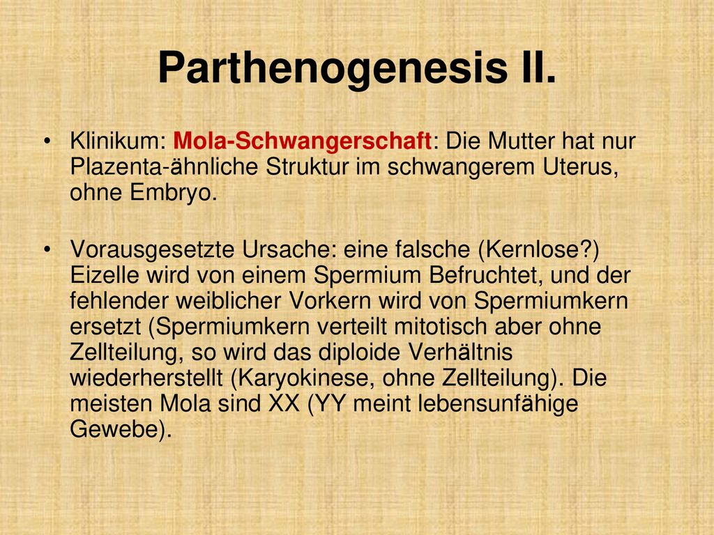 Parthenogenesis II. Klinikum: Mola-Schwangerschaft: Die Mutter hat nur Plazenta-ähnliche Struktur im schwangerem Uterus, ohne Embryo.