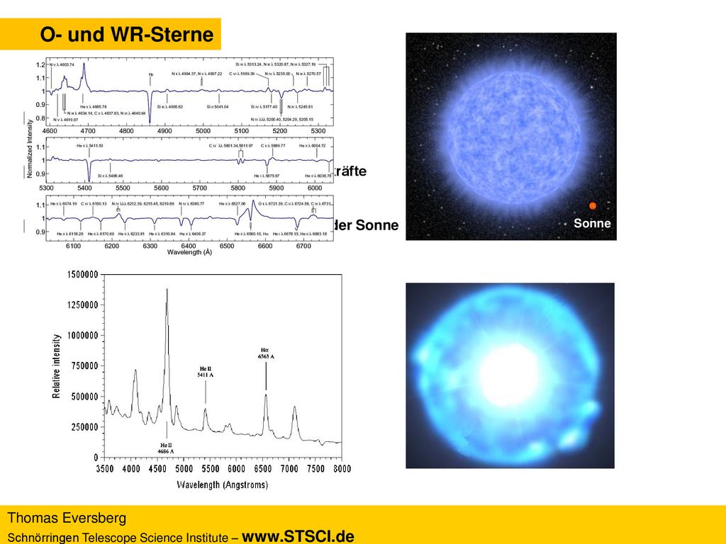 O- und WR-Sterne | Sterne mit 10 bis 120 Sonnenmassen