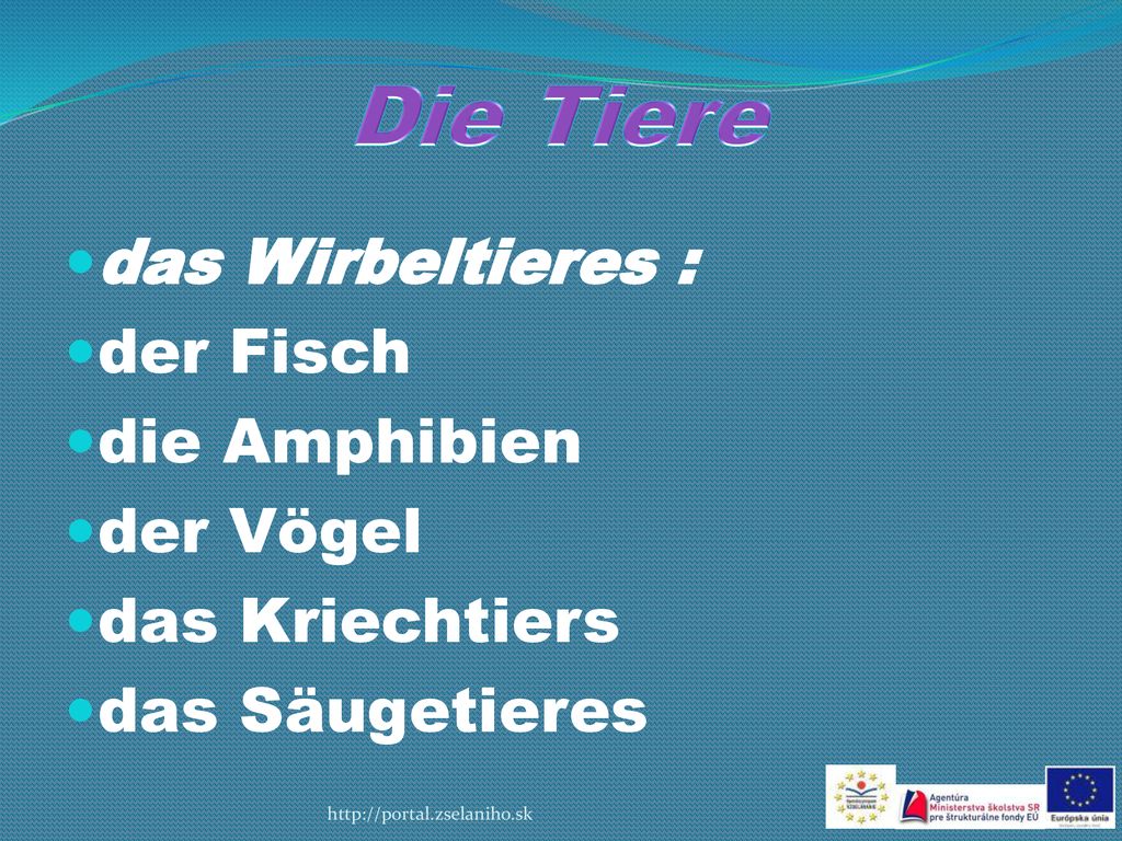 Die Tiere das Wirbeltieres : der Fisch die Amphibien der Vögel