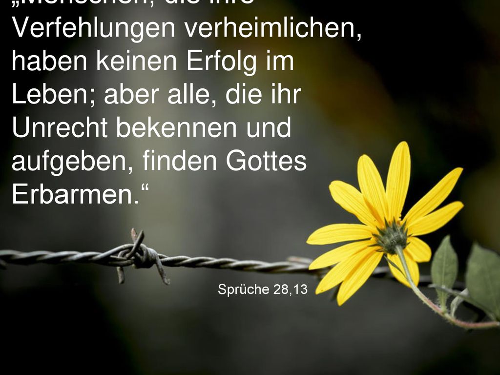 „Menschen, die ihre Verfehlungen verheimlichen, haben keinen Erfolg im Leben; aber alle, die ihr Unrecht bekennen und aufgeben, finden Gottes Erbarmen.