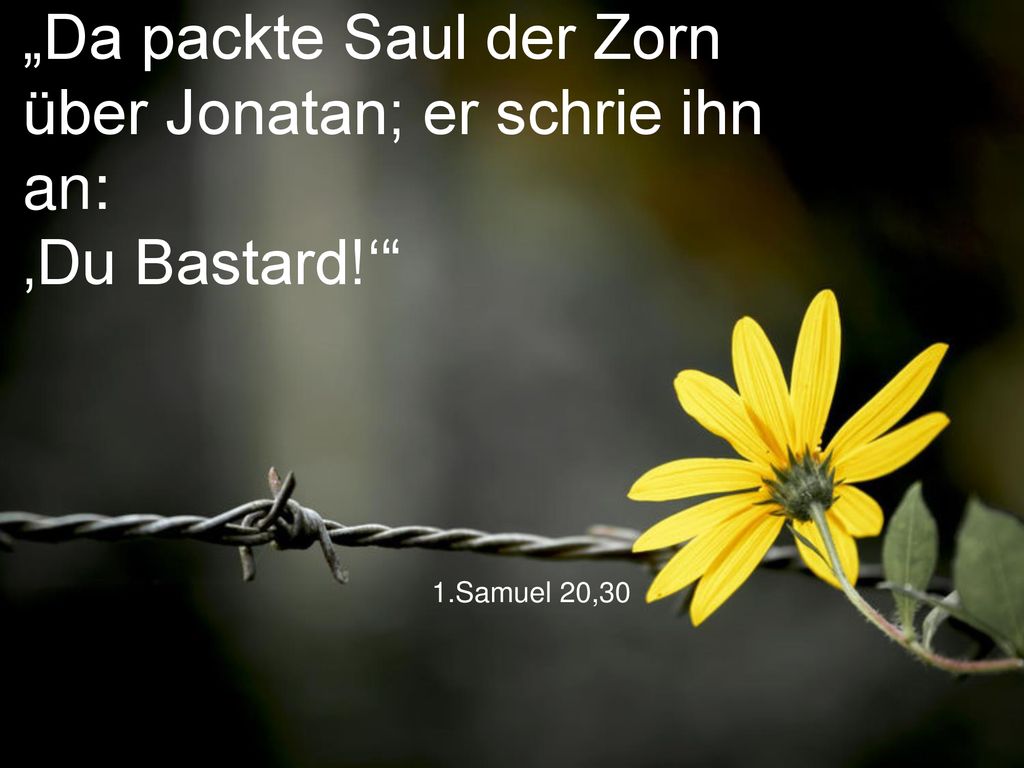 „Da packte Saul der Zorn über Jonatan; er schrie ihn an: ‚Du Bastard