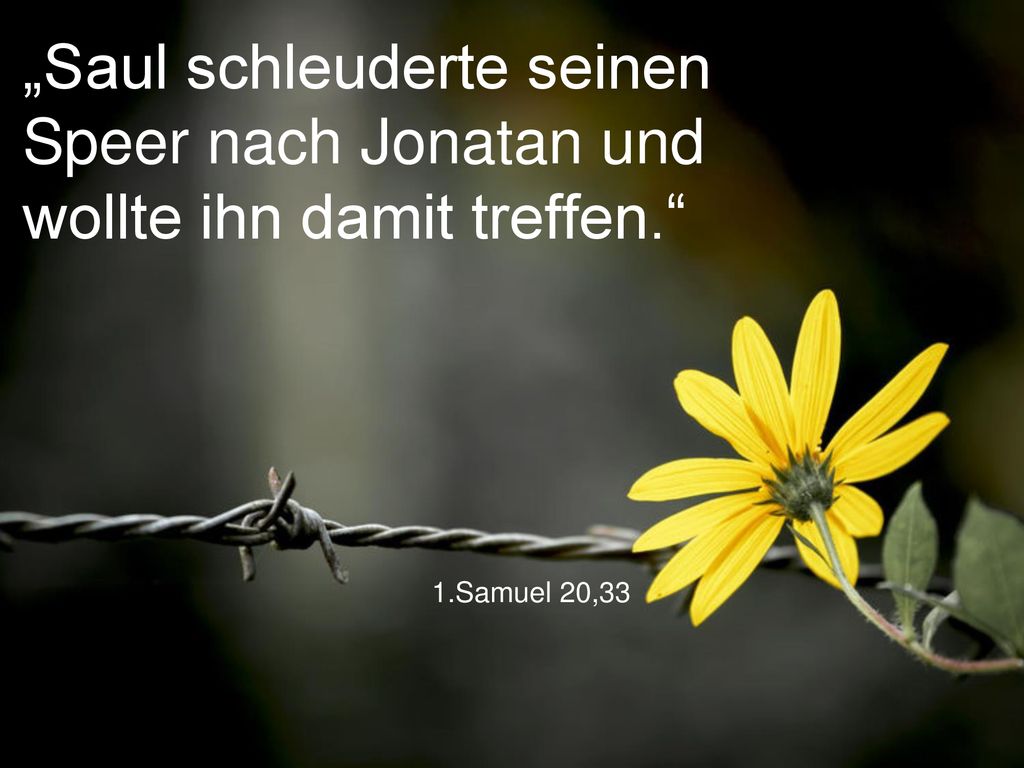 „Saul schleuderte seinen Speer nach Jonatan und wollte ihn damit treffen.