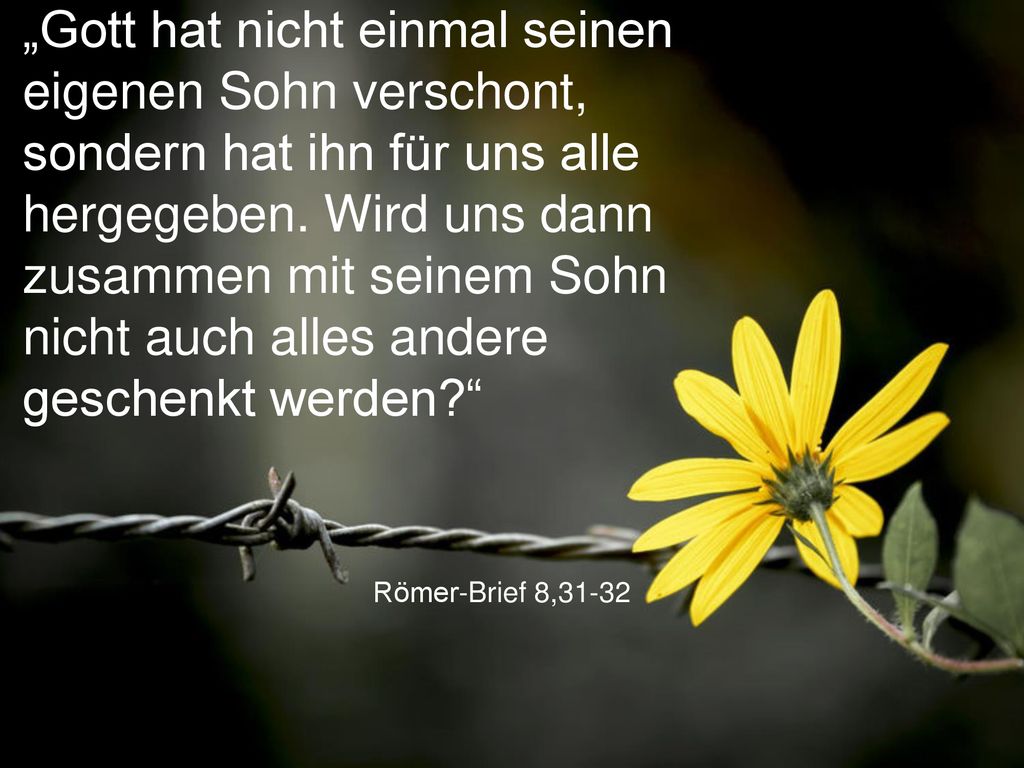 „Gott hat nicht einmal seinen eigenen Sohn verschont, sondern hat ihn für uns alle hergegeben. Wird uns dann zusammen mit seinem Sohn nicht auch alles andere geschenkt werden