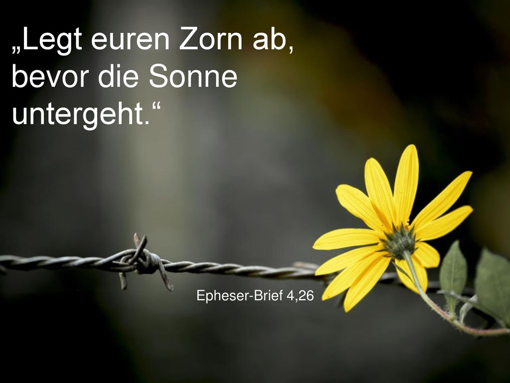 „Legt euren Zorn ab, bevor die Sonne untergeht.