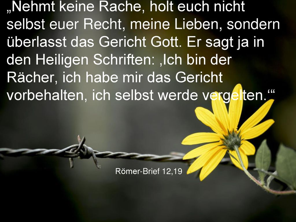„Nehmt keine Rache, holt euch nicht selbst euer Recht, meine Lieben, sondern überlasst das Gericht Gott. Er sagt ja in den Heiligen Schriften: ‚Ich bin der Rächer, ich habe mir das Gericht vorbehalten, ich selbst werde vergelten.‘