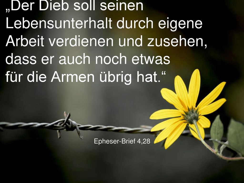 „Der Dieb soll seinen Lebensunterhalt durch eigene Arbeit verdienen und zusehen, dass er auch noch etwas für die Armen übrig hat.