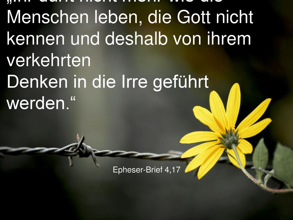 „Ihr dürft nicht mehr wie die Menschen leben, die Gott nicht kennen und deshalb von ihrem verkehrten Denken in die Irre geführt werden.