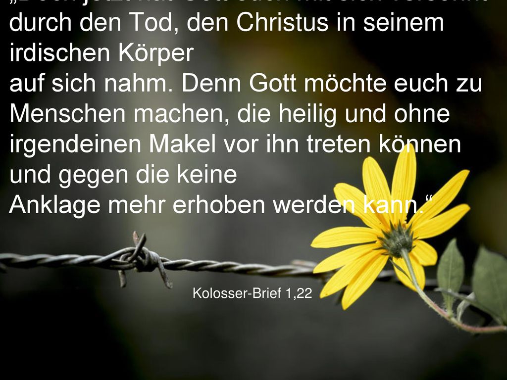 „Doch jetzt hat Gott euch mit sich versöhnt durch den Tod, den Christus in seinem irdischen Körper auf sich nahm. Denn Gott möchte euch zu Menschen machen, die heilig und ohne irgendeinen Makel vor ihn treten können und gegen die keine Anklage mehr erhoben werden kann.