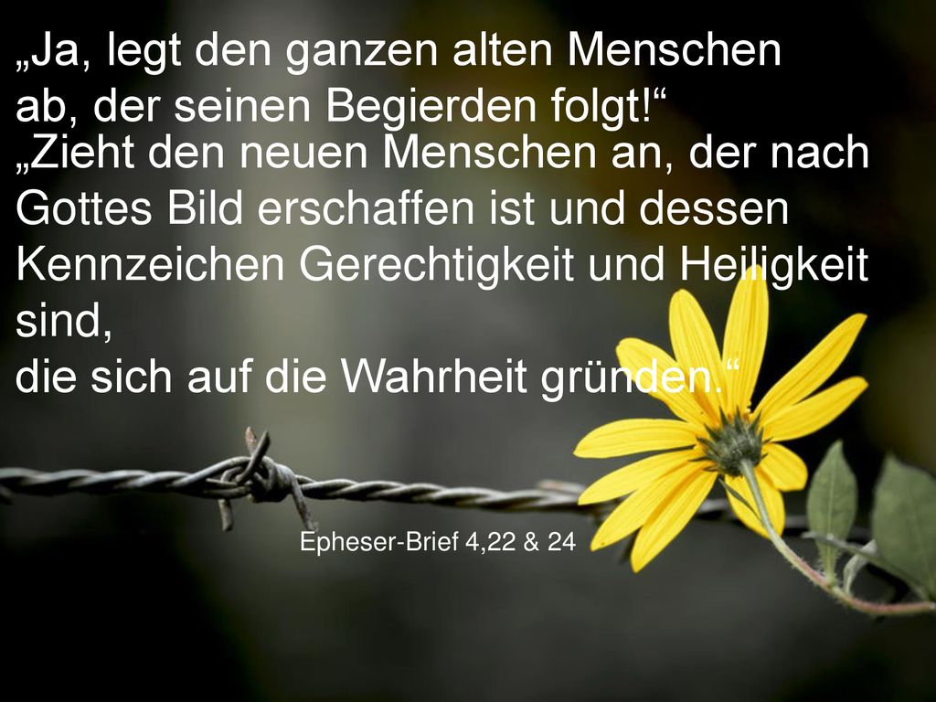 „Ja, legt den ganzen alten Menschen ab, der seinen Begierden folgt!