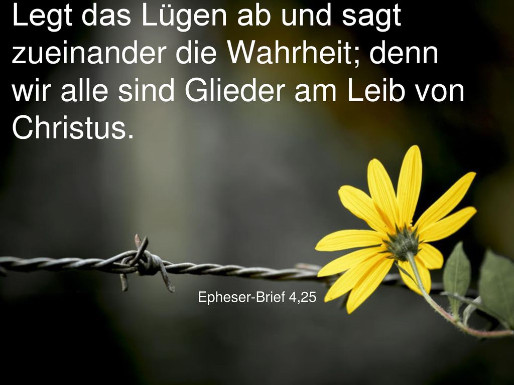 Legt das Lügen ab und sagt zueinander die Wahrheit; denn wir alle sind Glieder am Leib von Christus.