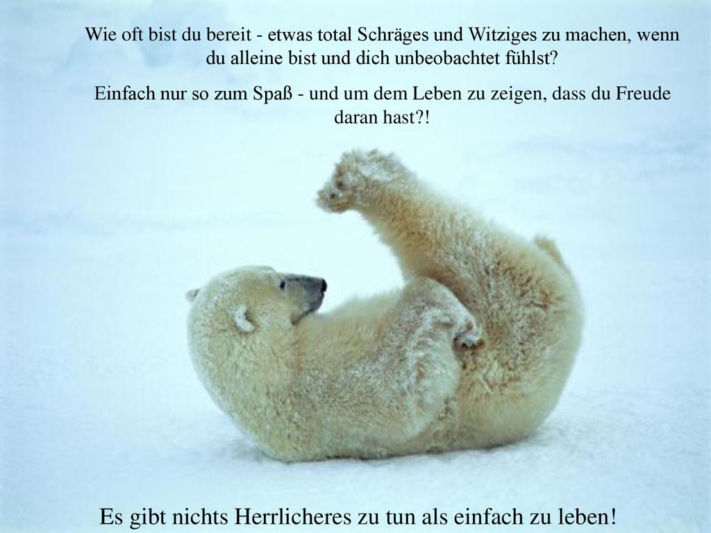 Es gibt nichts Herrlicheres zu tun als einfach zu leben!