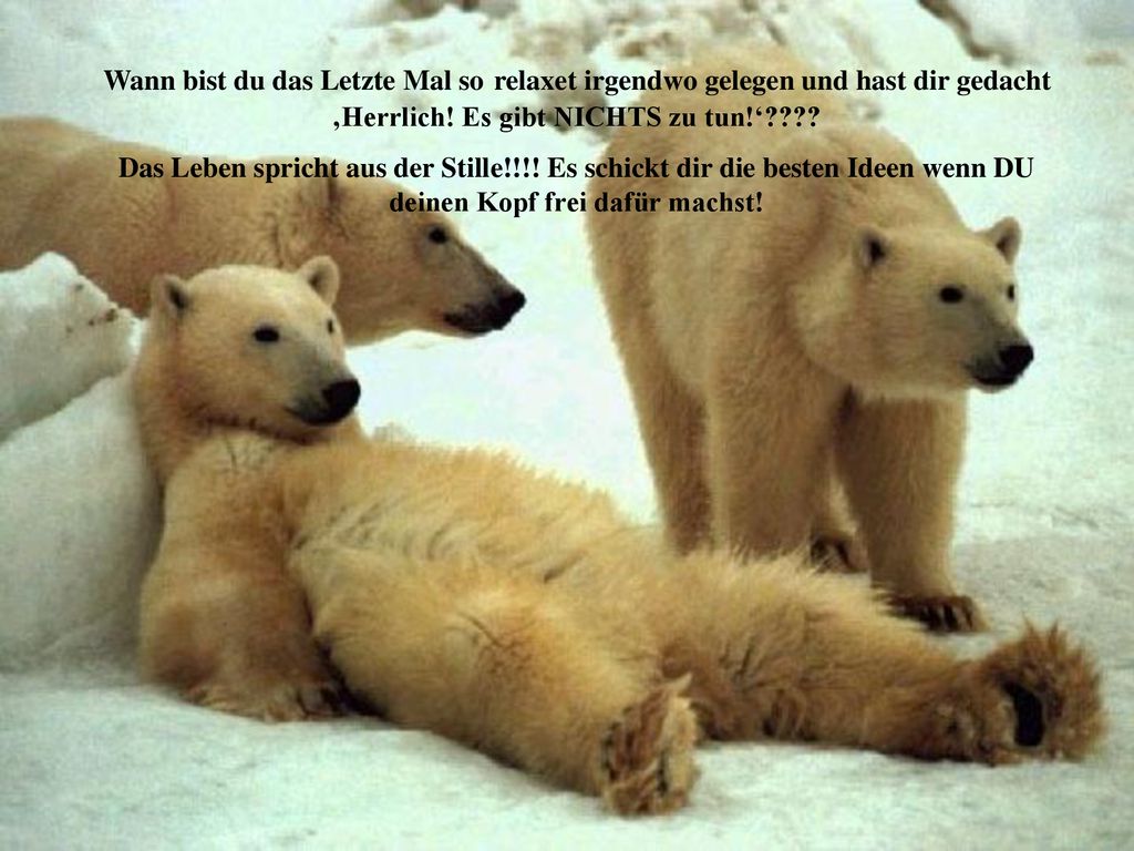 Wann bist du das Letzte Mal so relaxet irgendwo gelegen und hast dir gedacht ‚Herrlich! Es gibt NICHTS zu tun!‘