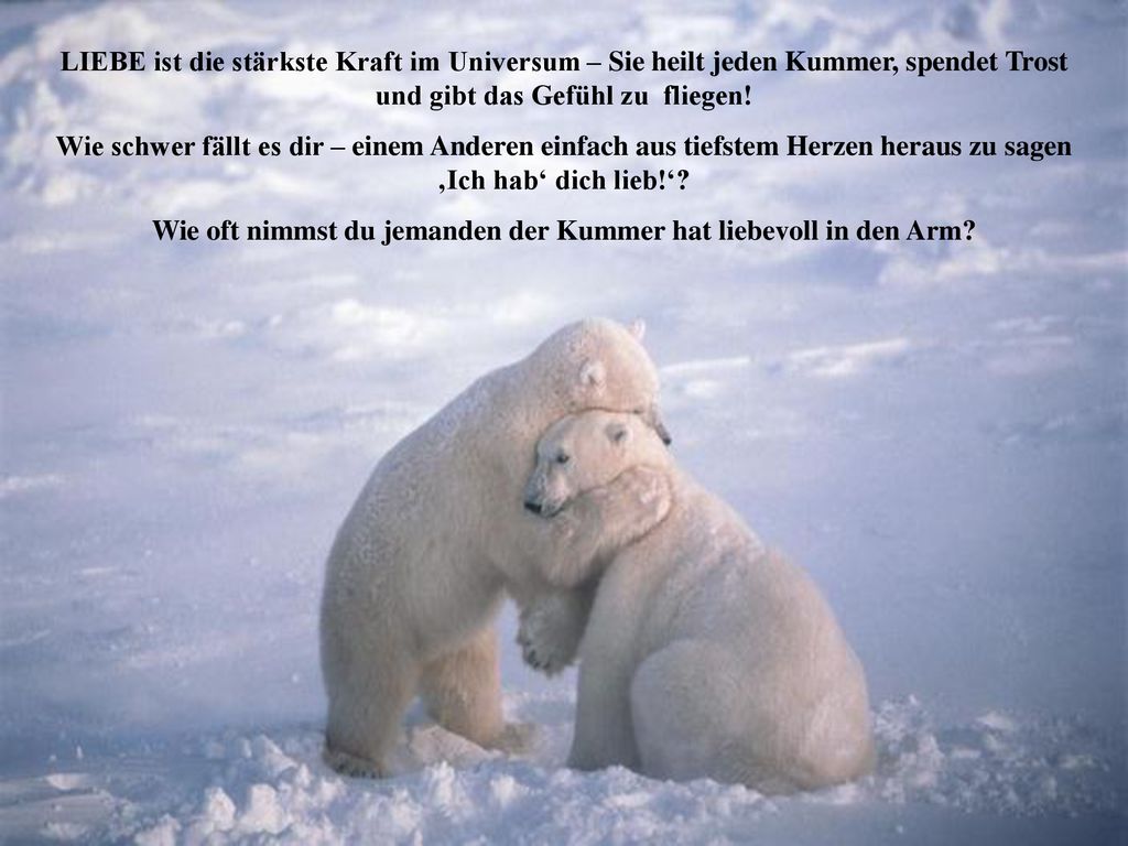 Wie oft nimmst du jemanden der Kummer hat liebevoll in den Arm