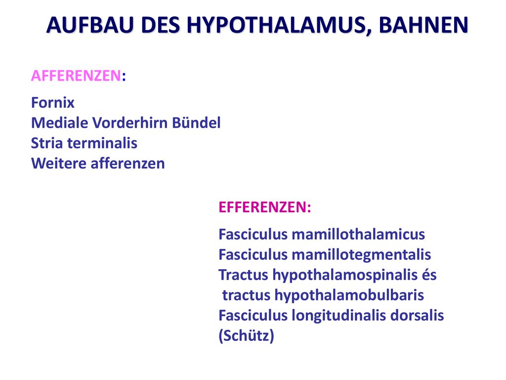 Mikroskopie des Hypothalamus, Hypothalamus-Hypophysen-System, Hypophyse Dr.  Fehér Erzsébet. - ppt herunterladen