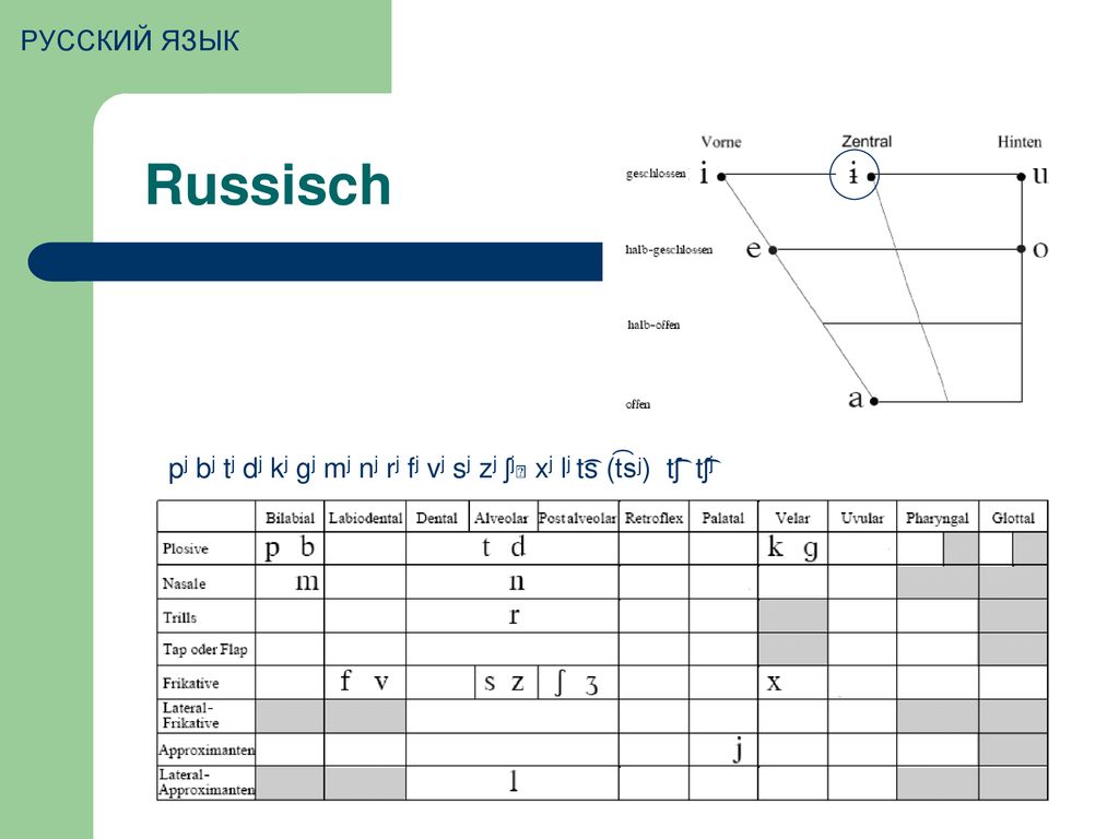 РУССКИЙ ЯЗЫК Russisch pj bj tj dj kj gj mj nj rj fj vj sj zj ʃj xj lj t͡s (t͡sʲ) t͡ʃ t͡ʃj