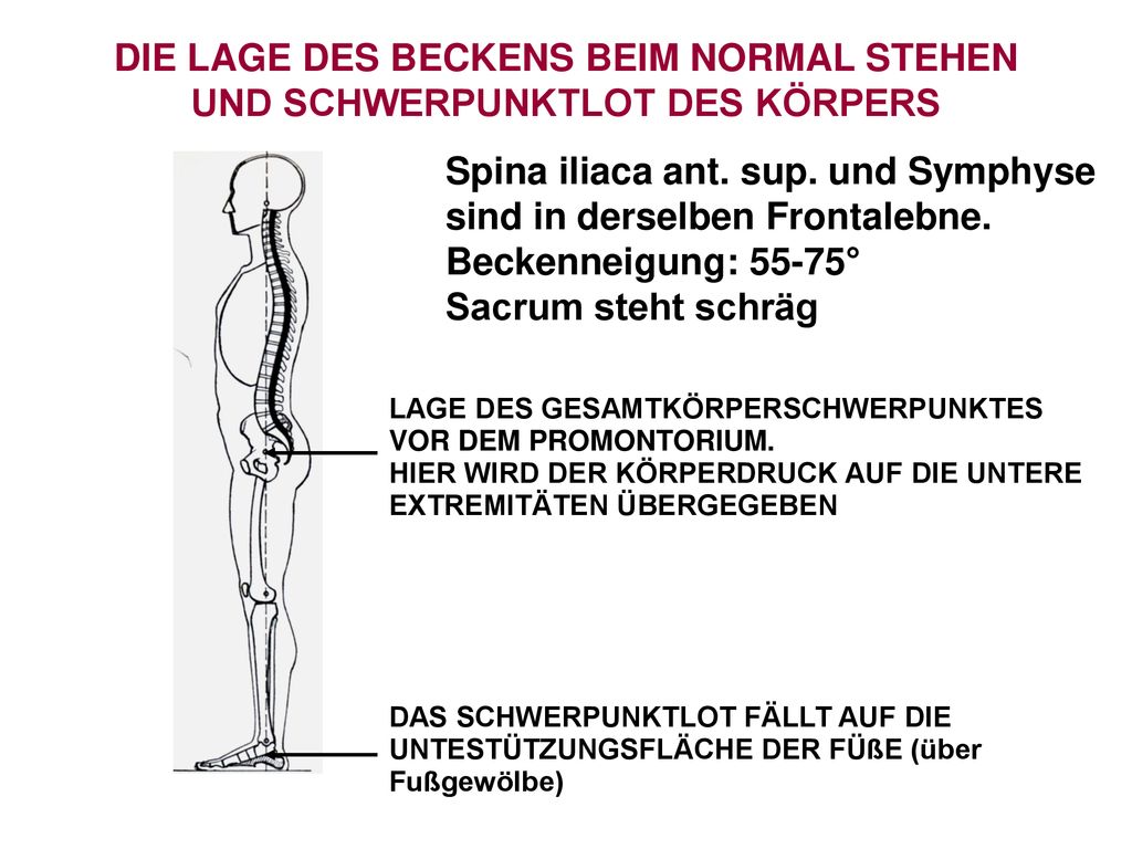 DIE LAGE DES BECKENS BEIM NORMAL STEHEN UND SCHWERPUNKTLOT DES KÖRPERS