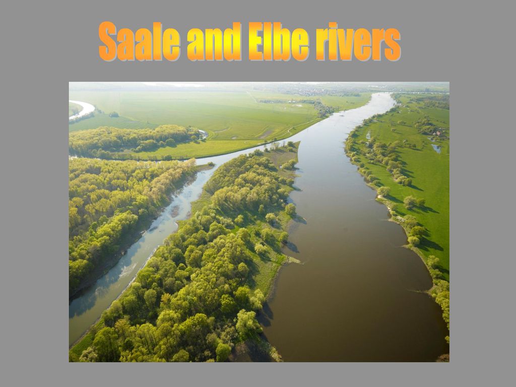 Saale and Elbe rivers Hier ist ein Bild der Saale und Elbe. Dies sind nur zwei der vier Flüsse, die die Studie 10 Jahre unternahm.