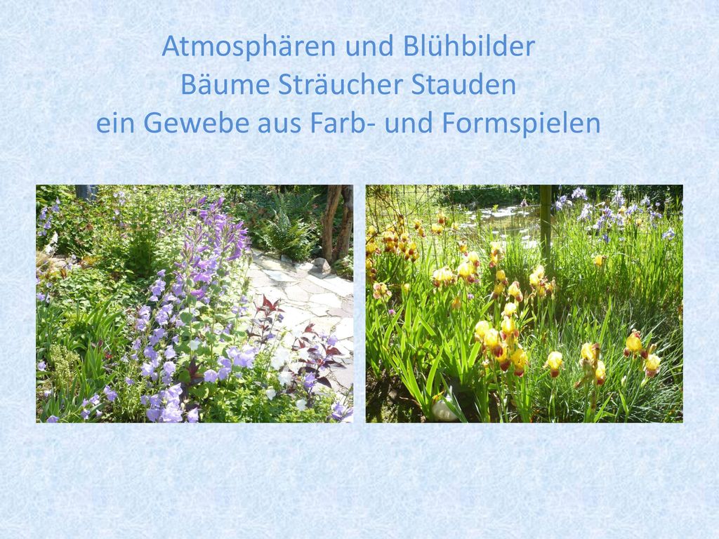 Atmosphären und Blühbilder Bäume Sträucher Stauden ein Gewebe aus Farb- und Formspielen
