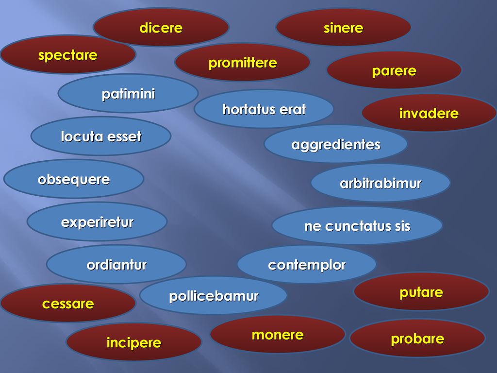 dicere sinere. spectare. promittere. parere. patimini. hortatus erat. invadere. locuta esset.