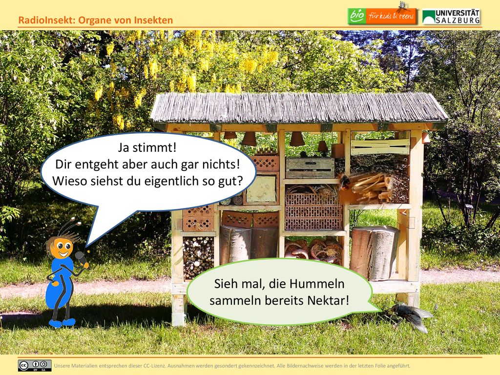 Dir entgeht aber auch gar nichts! Wieso siehst du eigentlich so gut