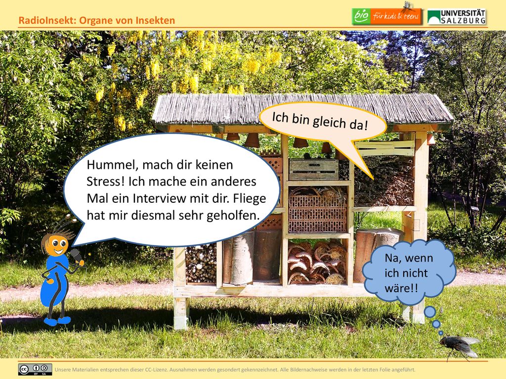 Ich bin gleich da! Hummel, mach dir keinen Stress! Ich mache ein anderes Mal ein Interview mit dir. Fliege hat mir diesmal sehr geholfen.