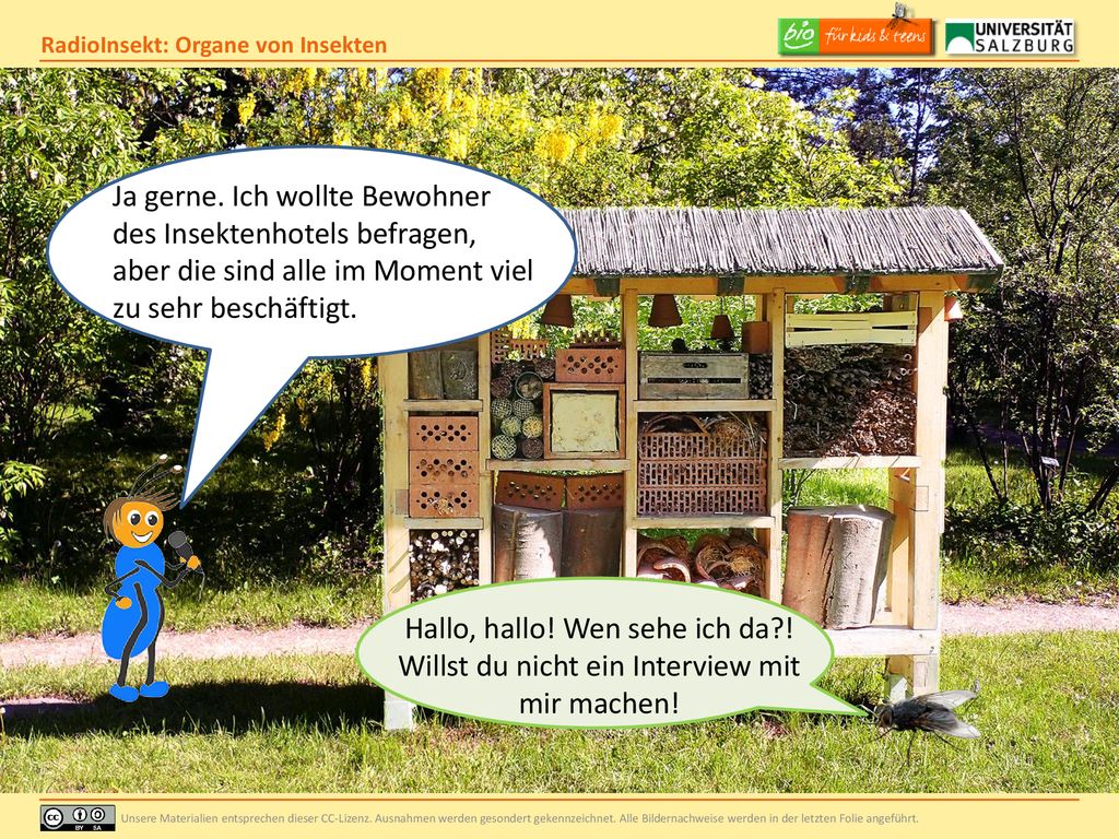Ja gerne. Ich wollte Bewohner des Insektenhotels befragen, aber die sind alle im Moment viel zu sehr beschäftigt.