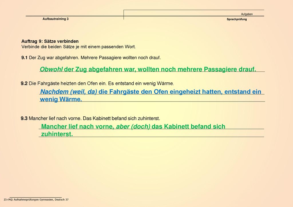 Obwohl der Zug abgefahren war, wollten noch mehrere Passagiere drauf.