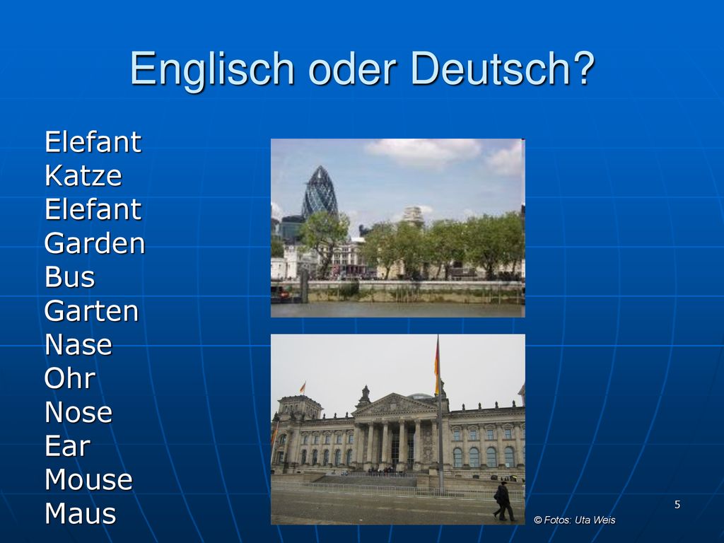 Englisch oder Deutsch Elefant Katze Garden Bus Garten Nase Ohr Nose
