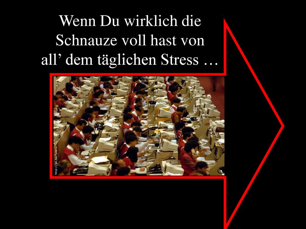 Wenn Du wirklich die Schnauze voll hast von all’ dem täglichen Stress …