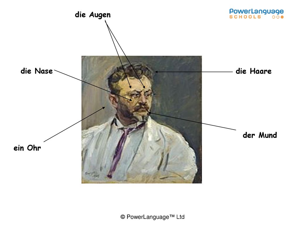 die Augen die Nase die Haare der Mund ein Ohr Max Slevogt ( )