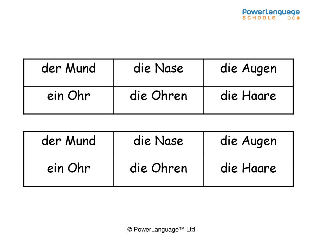 der Mund die Nase. die Augen. ein Ohr. die Ohren. die Haare. der Mund. die Nase. die Augen. ein Ohr.