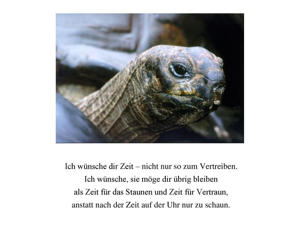 Ich wünsche dir Zeit – nicht nur so zum Vertreiben.
