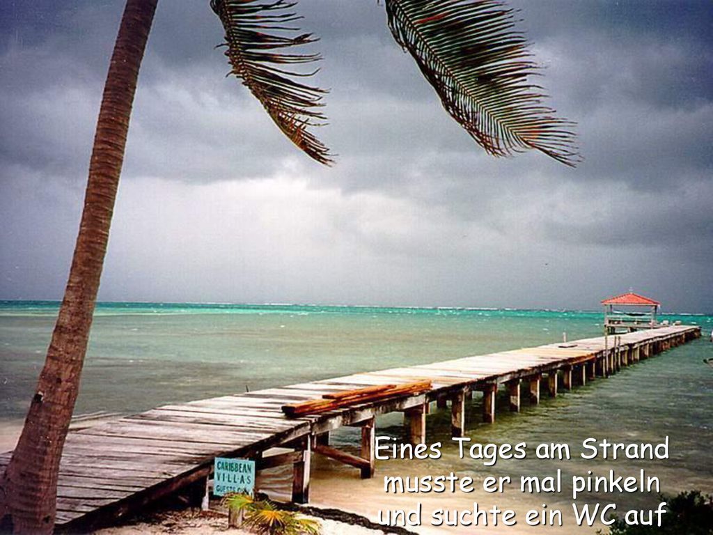 Eines Tages am Strand musste er mal pinkeln und suchte ein WC auf