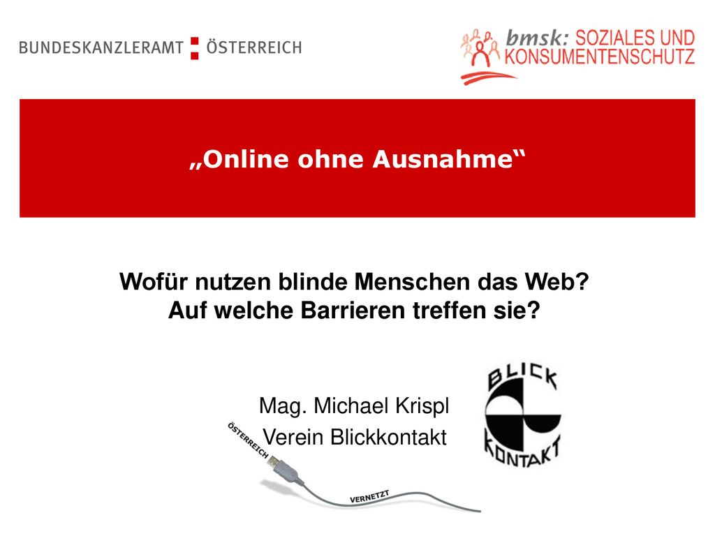 Wofür nutzen blinde Menschen das Web Auf welche Barrieren treffen sie