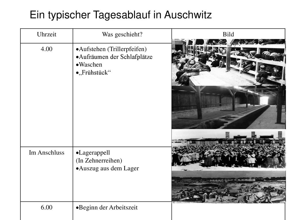 Ein typischer Tagesablauf in Auschwitz