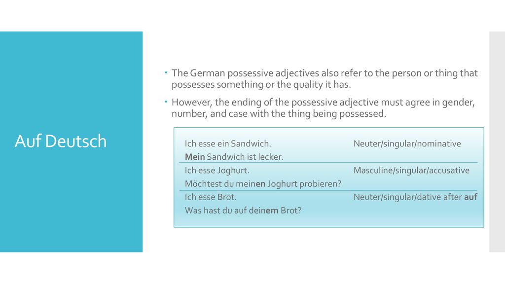 The German possessive adjectives also refer to the person or thing that possesses something or the quality it has.