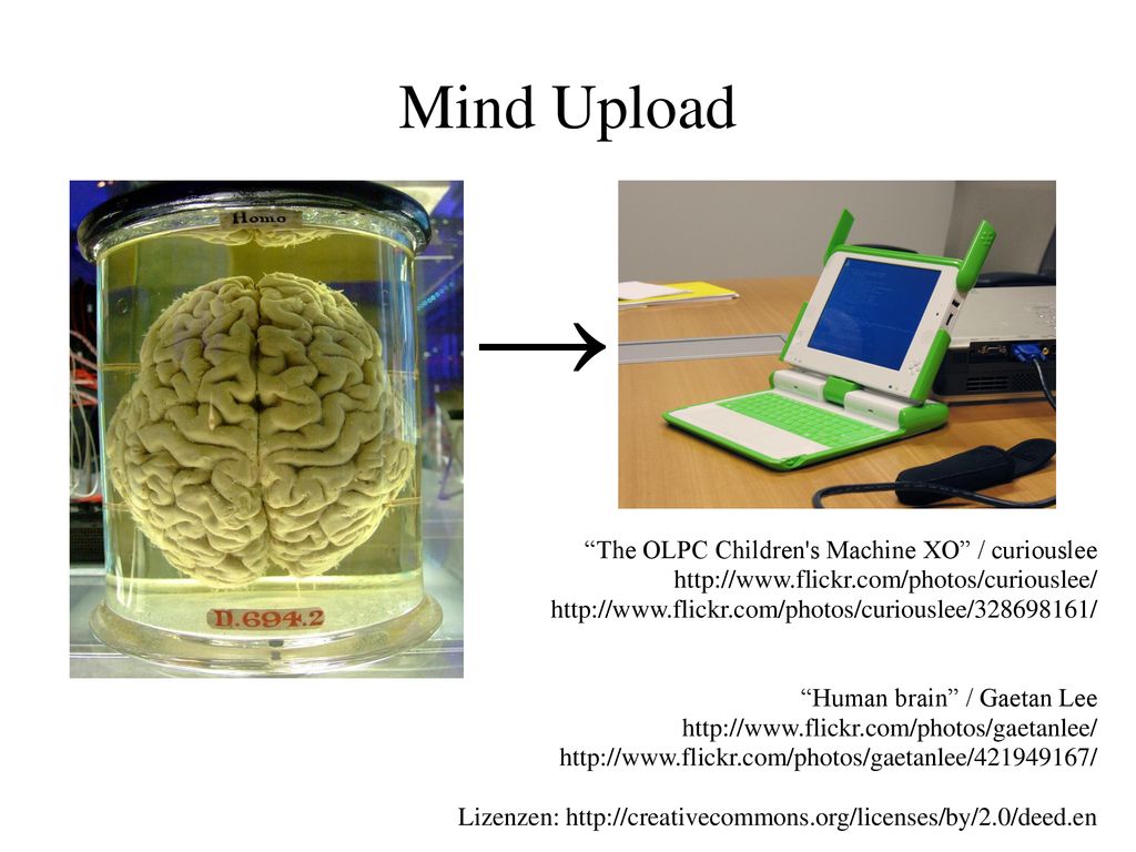 → Mind Upload The OLPC Children s Machine XO / curiouslee