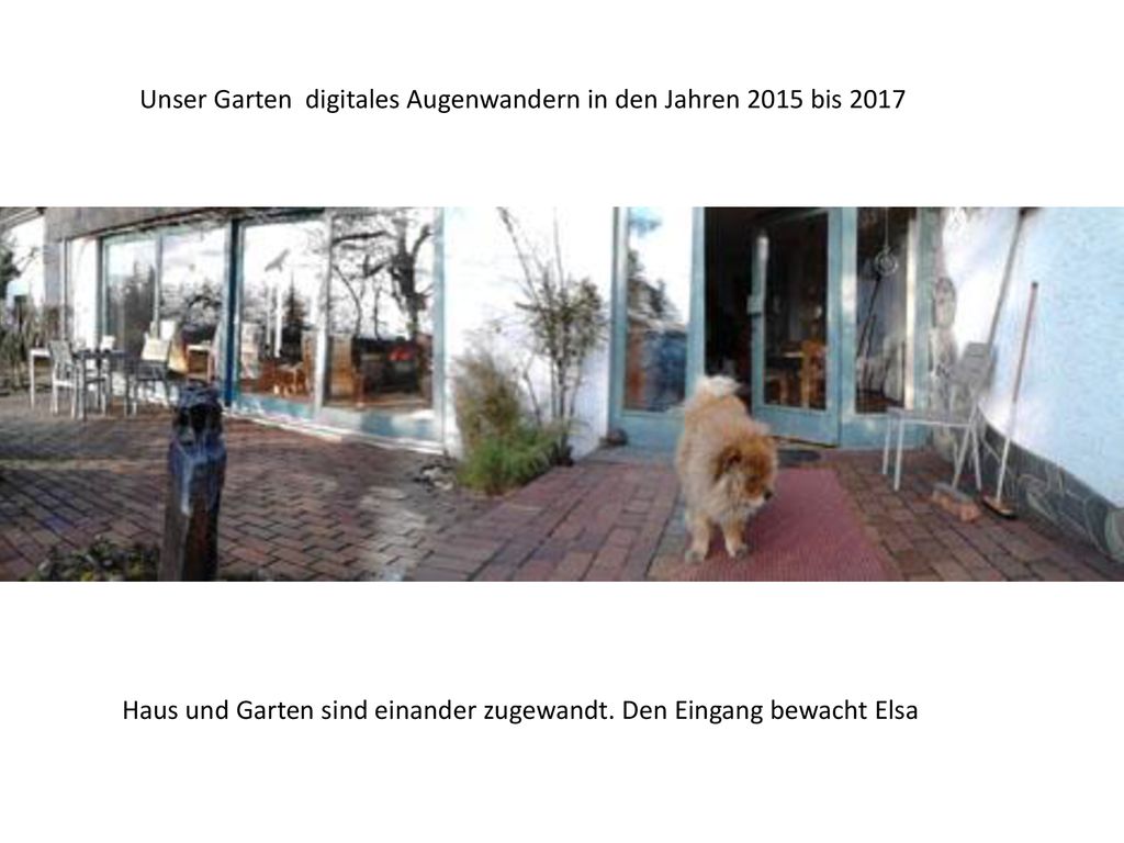 Unser Garten digitales Augenwandern in den Jahren 2015 bis 2017