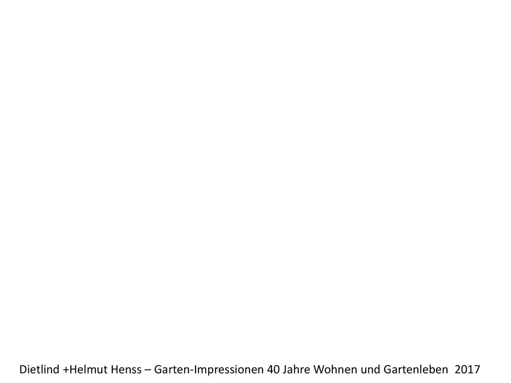 Dietlind +Helmut Henss – Garten-Impressionen 40 Jahre Wohnen und Gartenleben 2017