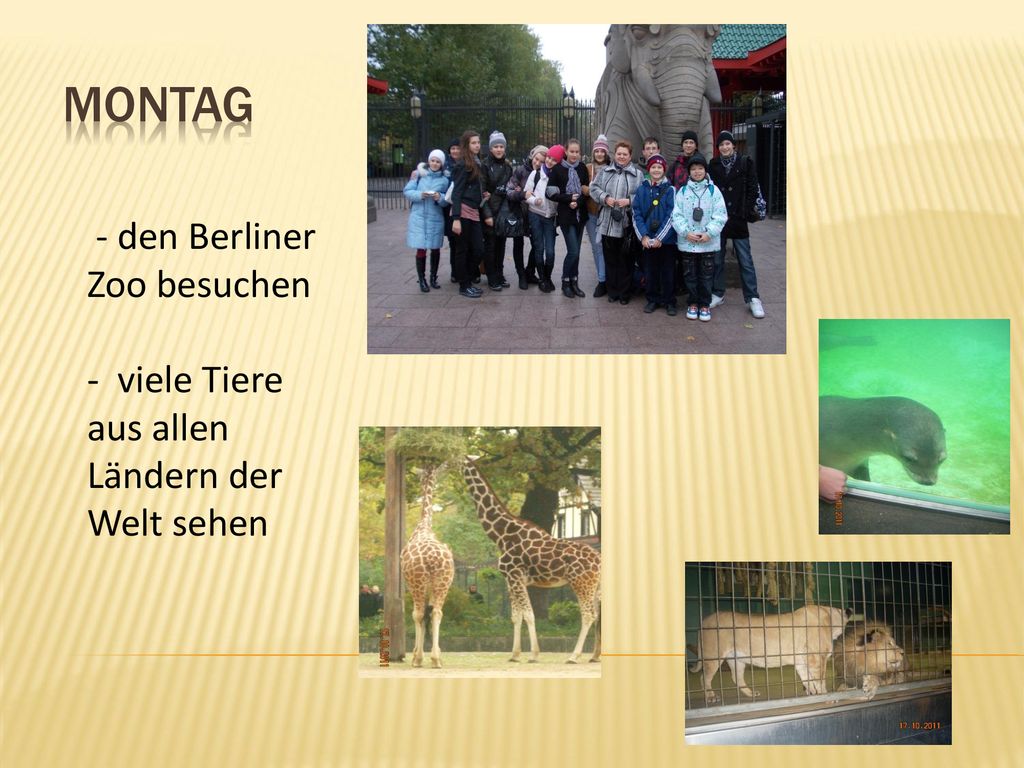 Montag - den Berliner Zoo besuchen