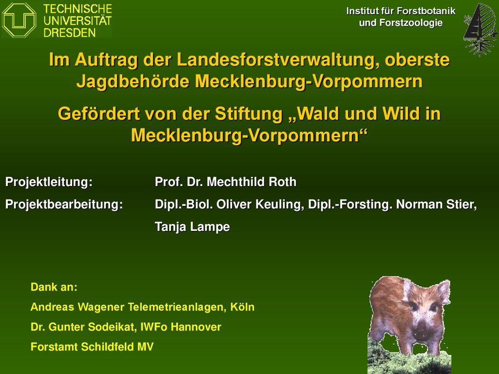 Gefördert von der Stiftung „Wald und Wild in Mecklenburg-Vorpommern